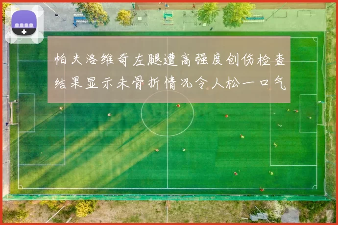 帕夫洛维奇左腿遭高强度创伤检查结果显示未骨折情况令人松一口气
